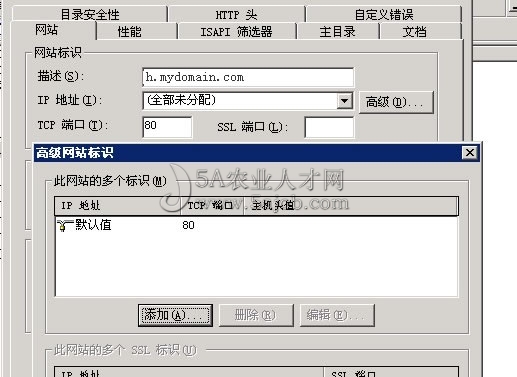 域名遭泛解析的IIS設置