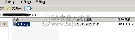 域名遭泛解析404設置