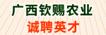 VJnrI޹˾